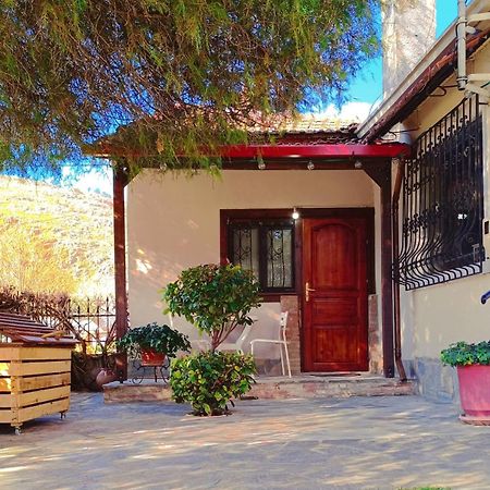 Apartamento Το Πέτρινο Σπιτάκι Tríkala Exterior foto